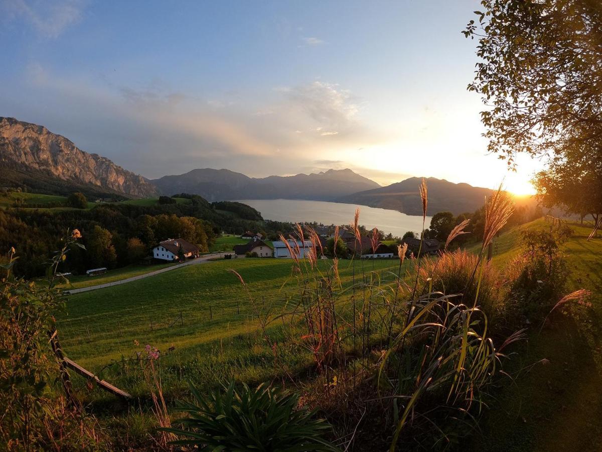 Biohof Schwanser Steinbach am Attersee Luaran gambar