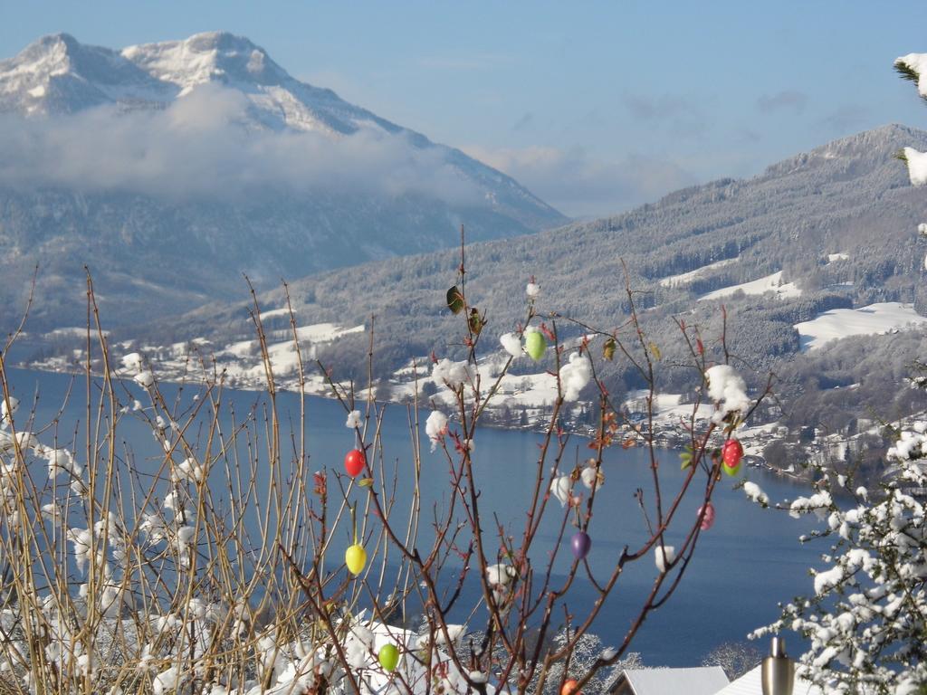 Biohof Schwanser Steinbach am Attersee Luaran gambar